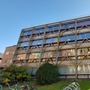 Garden Building