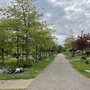 Forest Park Cemetery & Crematorium