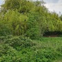 Coppermill Fields & Underpass