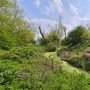 Ox Bow Island