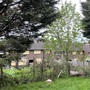 Chippenham Road Estate