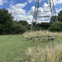 Waterworks Nature Reserve