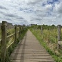 Walthamstow Marshes