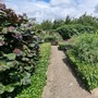 Waltham Abbey Gardens