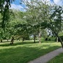 Waltham Abbey Gardens