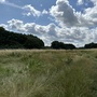 Britannia Meadows