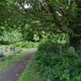 Kingston Cemetery and Crematorium