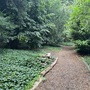 Strawberry Hill House - The Wilderness Woodland Walk