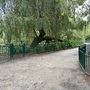Crystal Palace Park - Lower Lake