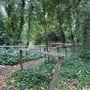 Crystal Palace Park - Secret Garden