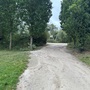 Crystal Palace Park - The Avenue