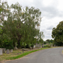 Croydon Cemetery