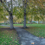 Brunswick Square Gardens
