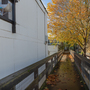 Dunboyne Road Estate
