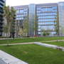 Wembley Urban Gardens