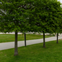 Fellowship Square