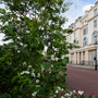 Cambridge Terrace