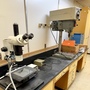 Laboratory