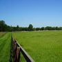 Martley Hall - Stud and Arena