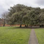 Charlton House - Exteriors