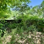 Large Empty Lot