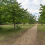 Chiswick House - Parking and Unit Bases