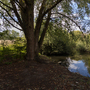 Fairlop Waters Country Park - Lakes