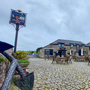 Jamaica Inn