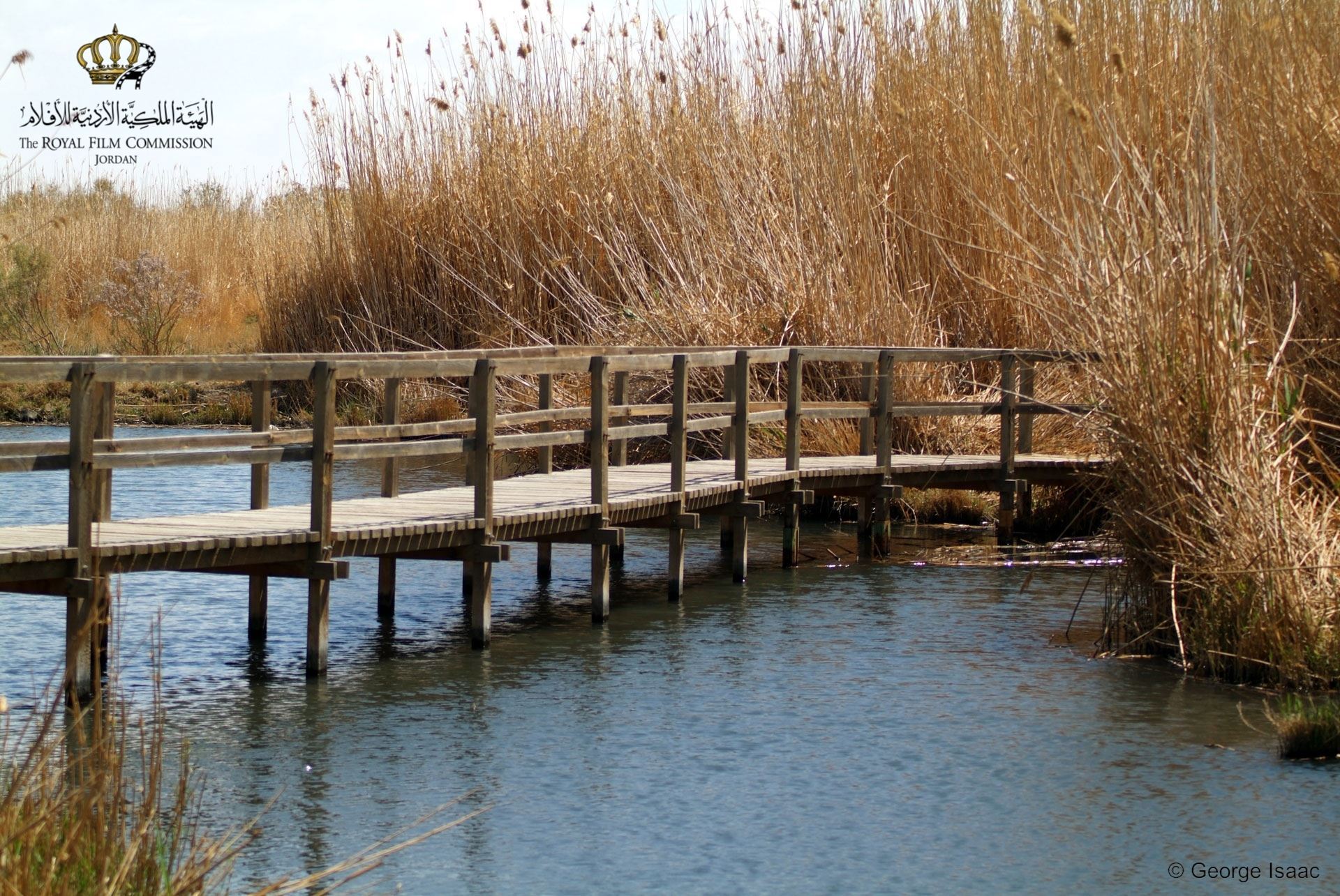 Locations Hub - Azraq Wetland Reserve