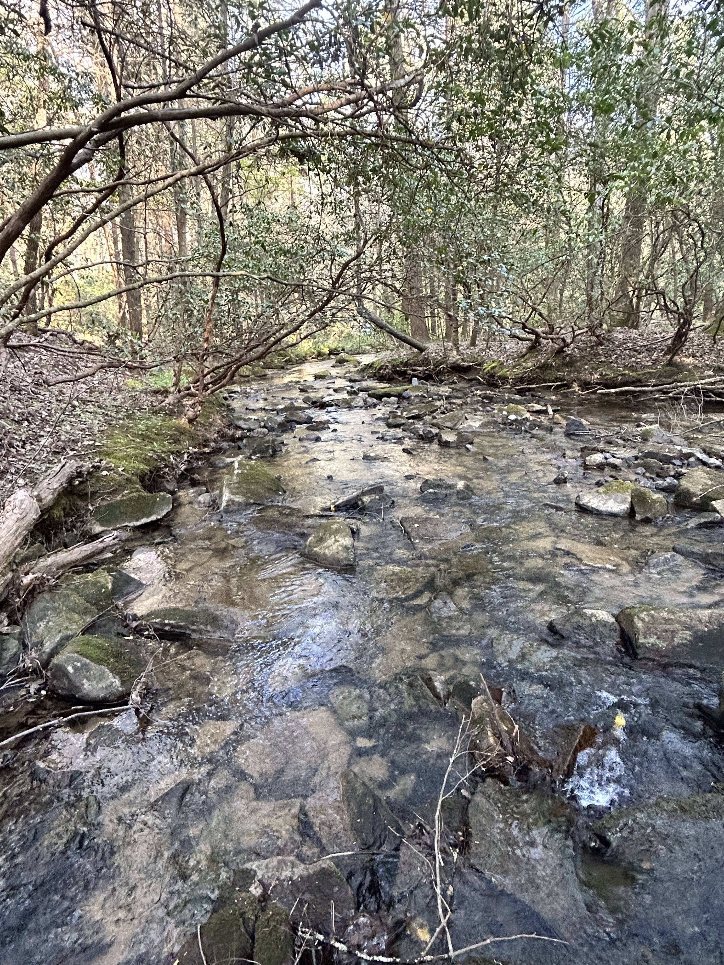 Locations Hub - Flat Rock Ranch