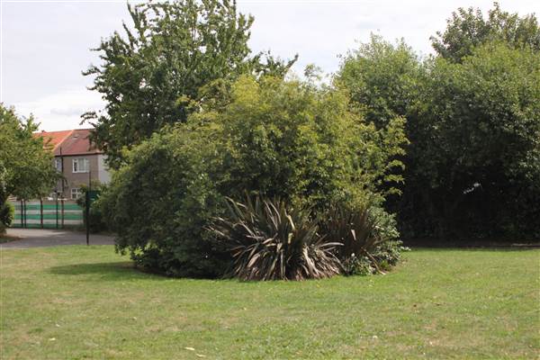 Streatham Vale Park