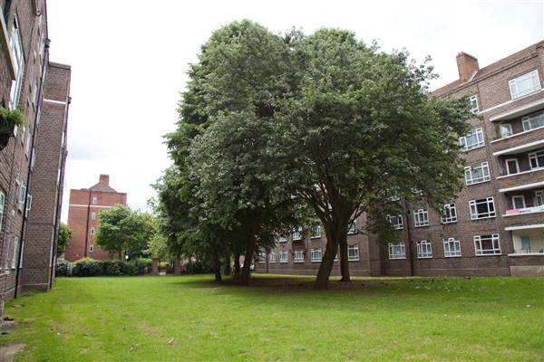 White City Estate