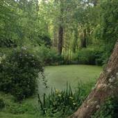 The Knoll