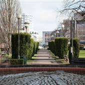 The Queen's Gardens