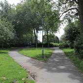 Avondale Park - Main Area