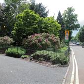 Bishops Park - Bishops Avenue