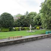 Bishops Park - Rose Gardens