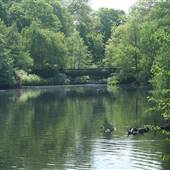 Kelsey Park