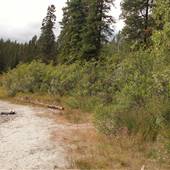 Long Lake Summer