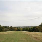 King George's Fields