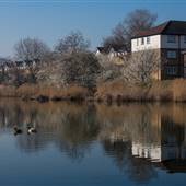 Thamesmead - Birchmere Park