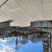 MCM Themed Building