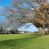 Crease Park