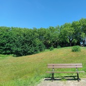 Martins Hill Open Space