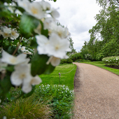 Park Square Gardens
