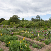 Chiswick House - Kitchen Garden