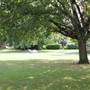 Myatts Fields Park