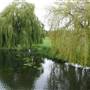 Foots Cray Meadows