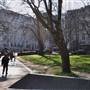 Euston Square Gardens