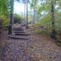 Coombe Wood Gardens